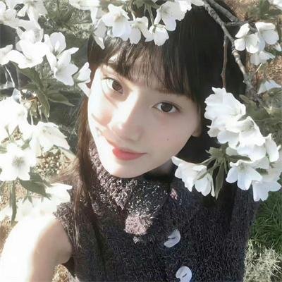 追凶双雄